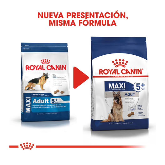 Royal Canin Adult +5 Maxi ração seco para cão adulto de raça grande, , large image number null